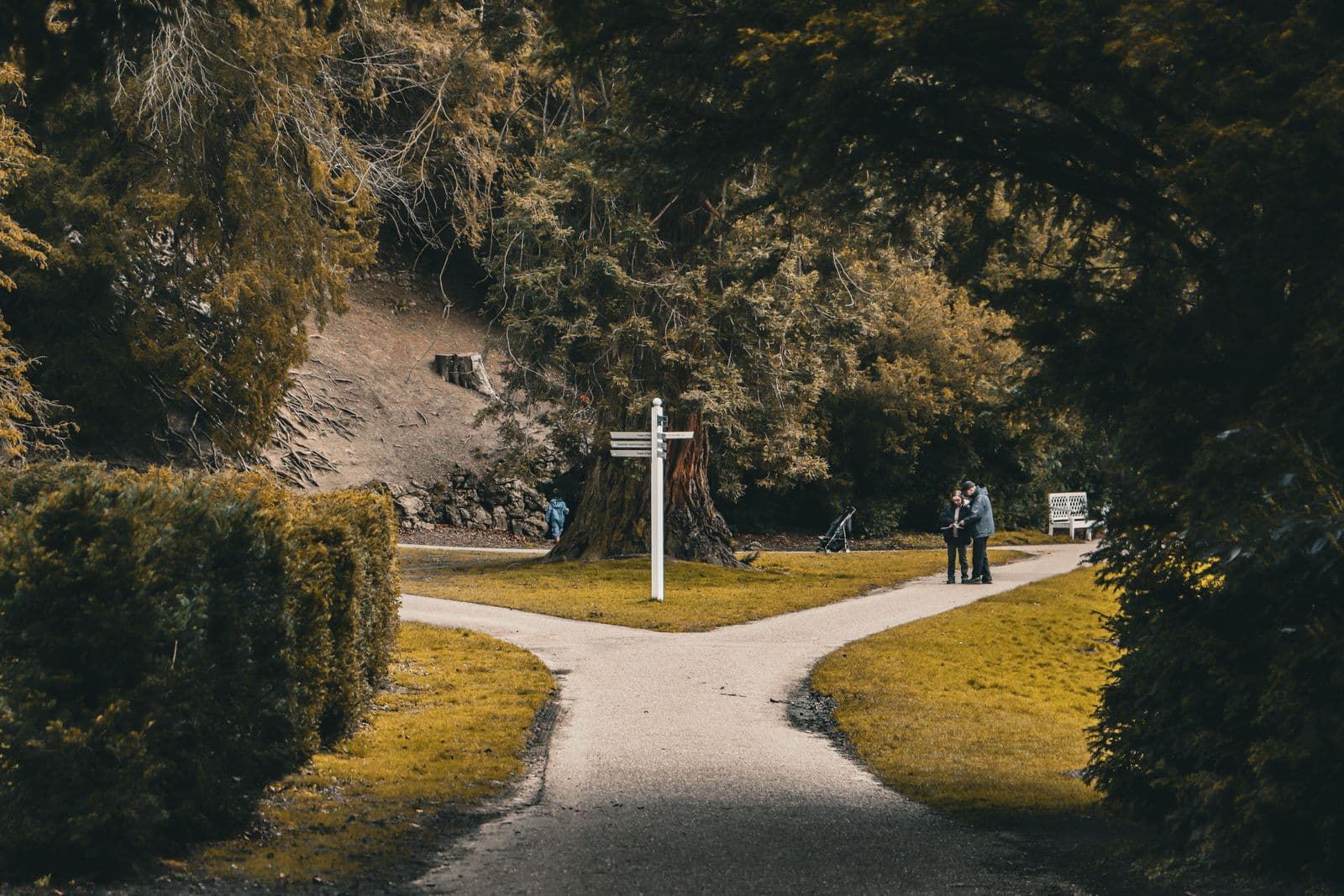 A paved park path forking around a white signpost, with a couple standing at the junction